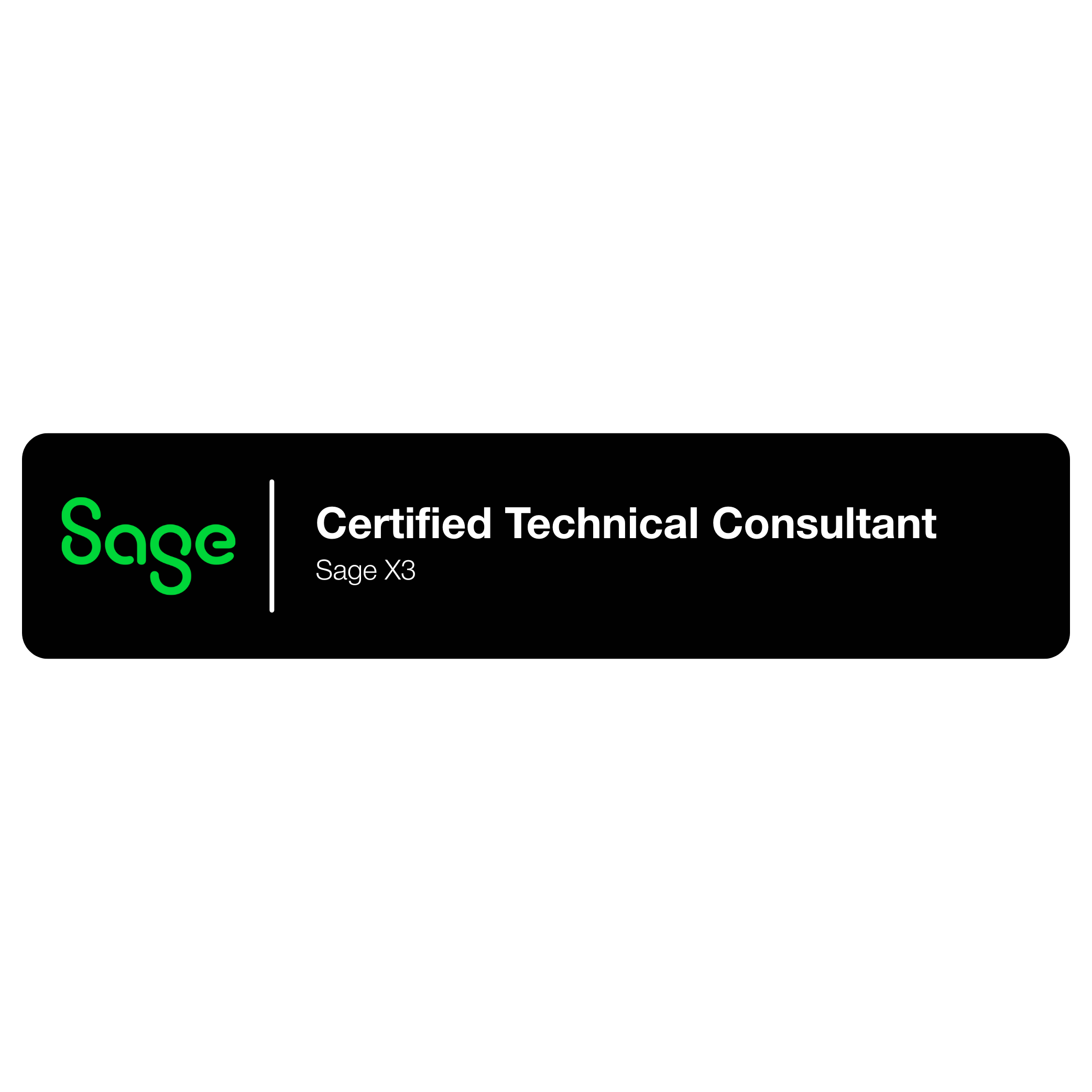 Certified Technology Consultant
