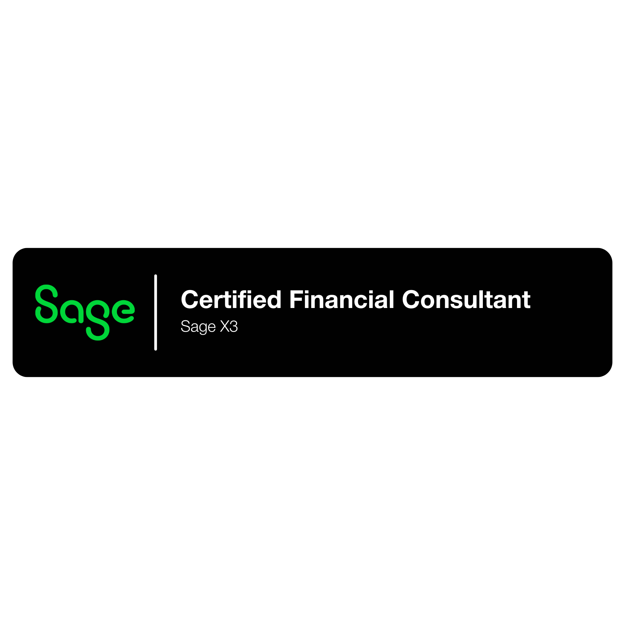 Certified Financial Consultant